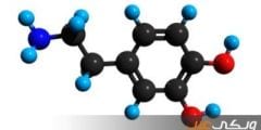 معلومات عن هرمون الدوبامين
