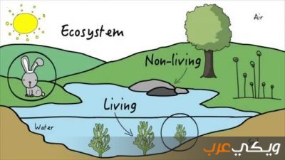 تسمى عملية تغير النظام البيئي الى نظام بيئي جديد ومختلف