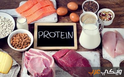 البروتينات لكمال الأجسام