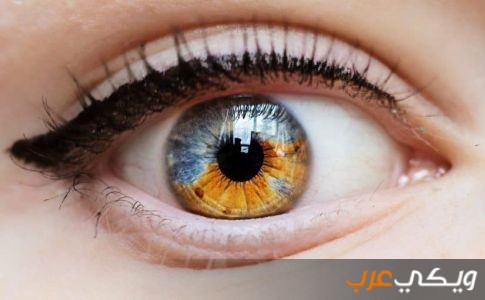 تفسير رؤية العين في المنام لابن سيرين ويكي عرب