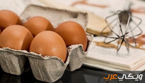 تفسير رؤية جمع البيض في المنام ويكي عرب