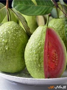 تفسير رؤية الجوافة في المنام ويكي عرب