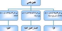 شرح درس إسناد الفعل الماضي إلى الضمائر للصف الثامن بالمنهاج الأردني