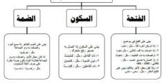 شرح درس الفعل الماضي المُعرب والمبني للصف الثامن بالمنهاج الأردني