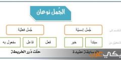 حل تدريبات مفهوم الجملة وأنوعاها للصف الثامن بالمنهاج الأردني