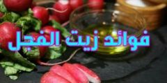 فوائد زيت الفجل للبشرة والشعر والجسم عليك معرفتها