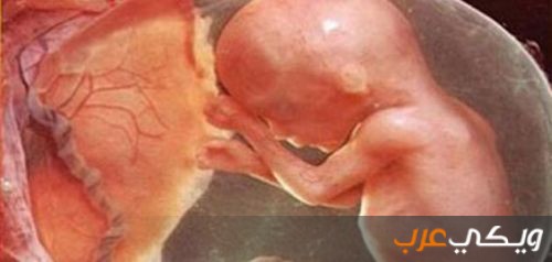 علامات نزول الجنين في الحوض في الشهر الخامس malayansal