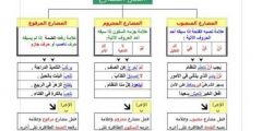 حل تدريبات الفعل المضارع المُعرب والمبني للصف الثامن بالمنهاج الأردني