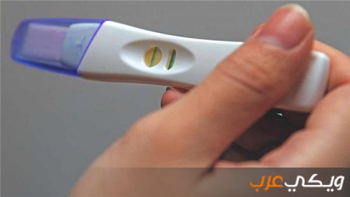 نسبة حدوث الحمل بعد الإجهاض