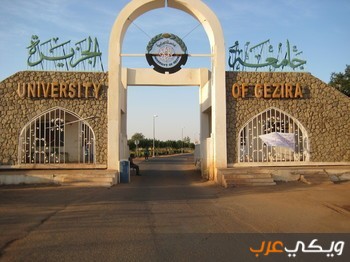 نبذة عن جامعة الجزيرة في السودان