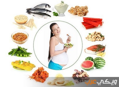 العناصر الهامة في النظام الغذائي الصحي للحامل