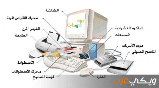 المكونات المادية للكمبيوتر والبرمجية ويكي عرب