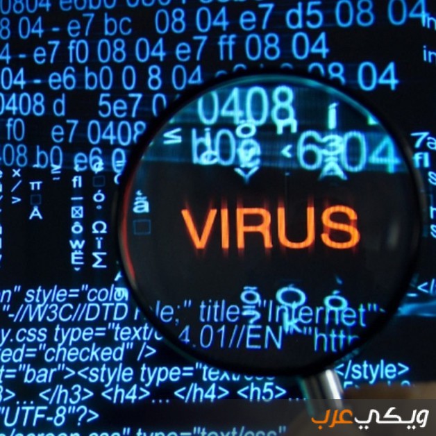 فيروس الحاسب هو برنامج او ملف