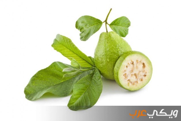 فوائد اوراق الجوافة لصحة الجسم ويكي عرب
