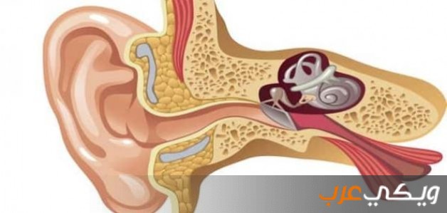 ما هي اسباب التهاب الأذن الوسطى ويكي عرب