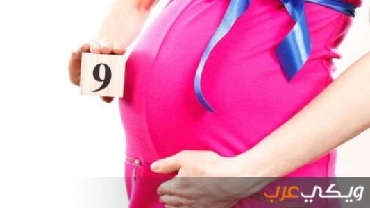 تسهيل الولاده بالأعشاب الطبيعية ويكي عرب 2241