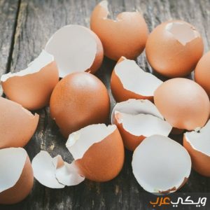 فوائد قشور البيض للبشرة والجسم